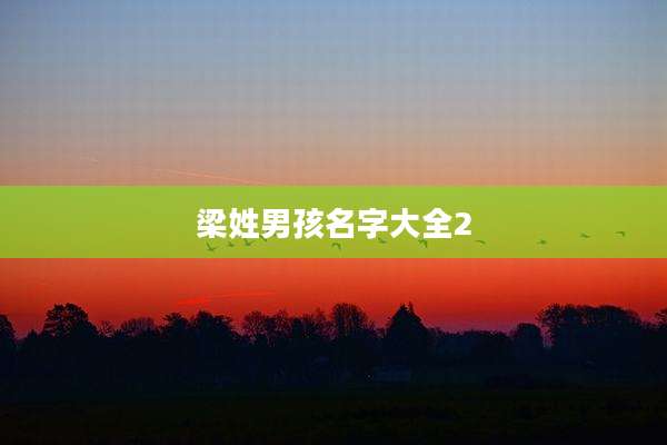 梁姓男孩名字大全2