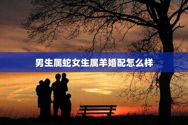 男生属蛇女生属羊婚配怎么样