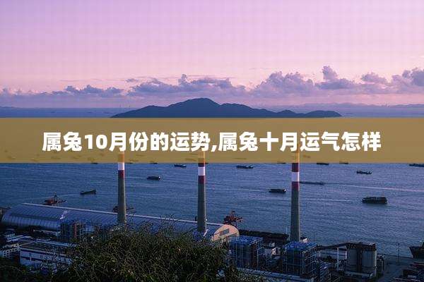 属兔10月份的运势,属兔十月运气怎样