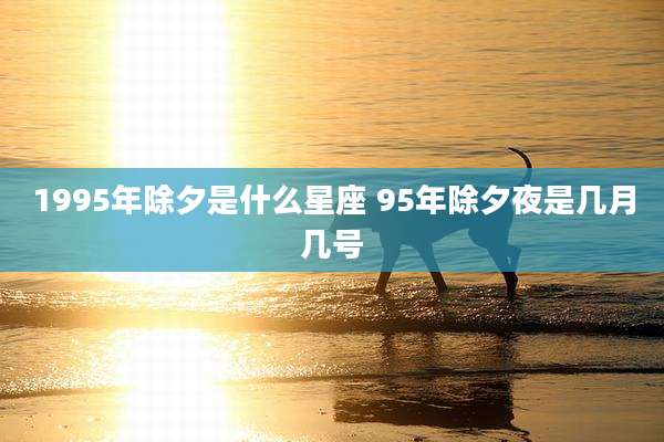 1995年除夕是什么星座 95年除夕夜是几月几号