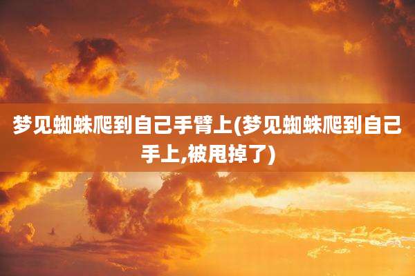 梦见蜘蛛爬到自己手臂上(梦见蜘蛛爬到自己手上,被甩掉了)