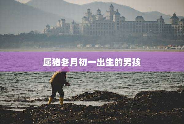 属猪冬月初一出生的男孩