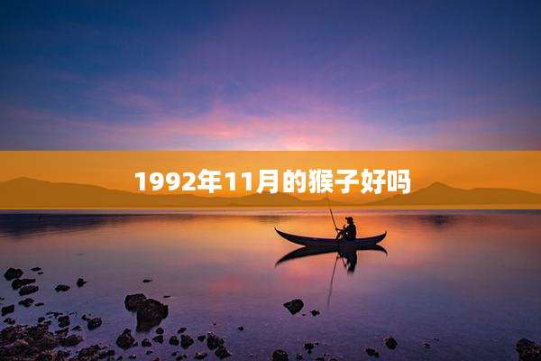 1992年11月的猴子好吗