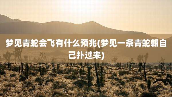 梦见青蛇会飞有什么预兆(梦见一条青蛇朝自己扑过来)