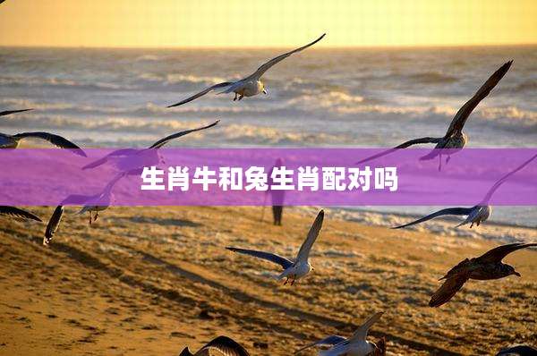 生肖牛和兔生肖配对吗