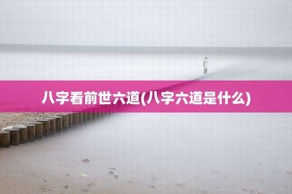 八字看前世六道(八字六道是什么)