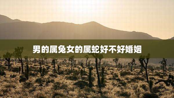 男的属兔女的属蛇好不好婚姻