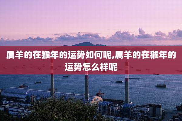 属羊的在猴年的运势如何呢,属羊的在猴年的运势怎么样呢