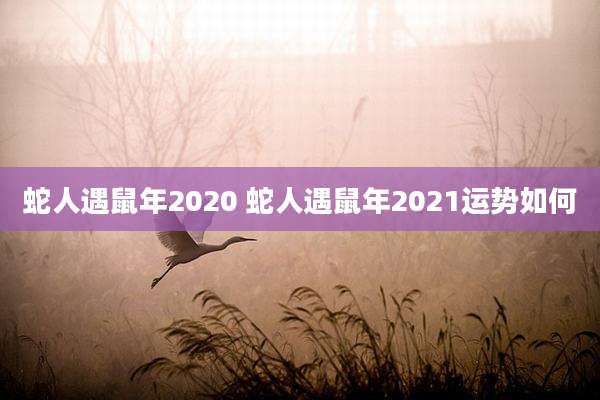 蛇人遇鼠年2020 蛇人遇鼠年2021运势如何
