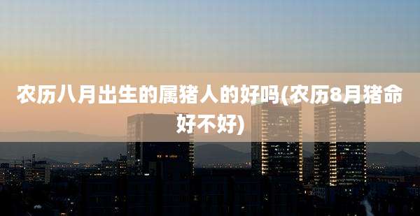 农历八月出生的属猪人的好吗(农历8月猪命好不好)