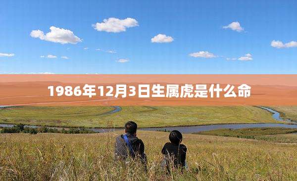 1986年12月3日生属虎是什么命