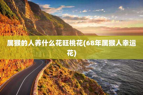 属猴的人养什么花旺桃花(68年属猴人幸运花)