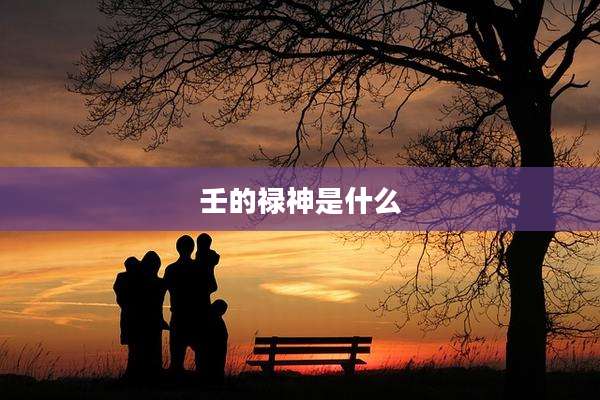 壬的禄神是什么