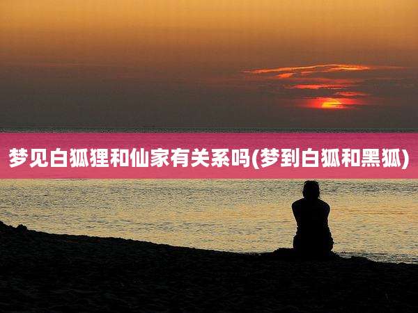 梦见白狐狸和仙家有关系吗(梦到白狐和黑狐)