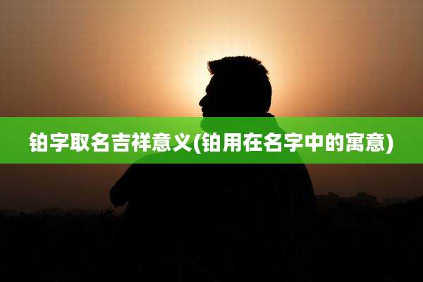 铂字取名吉祥意义(铂用在名字中的寓意)