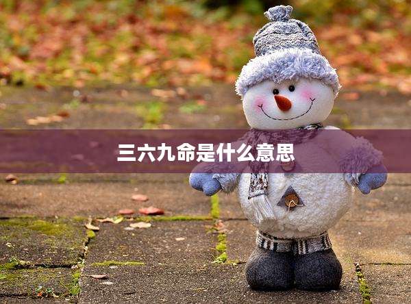 三六九命是什么意思