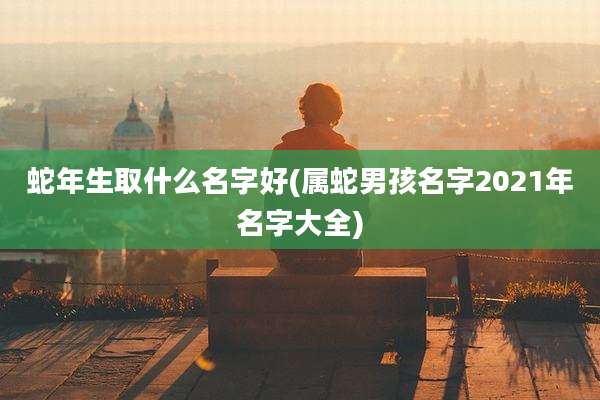蛇年生取什么名字好(属蛇男孩名字2021年名字大全)