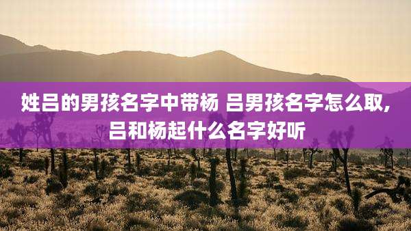 姓吕的男孩名字中带杨 吕男孩名字怎么取,吕和杨起什么名字好听