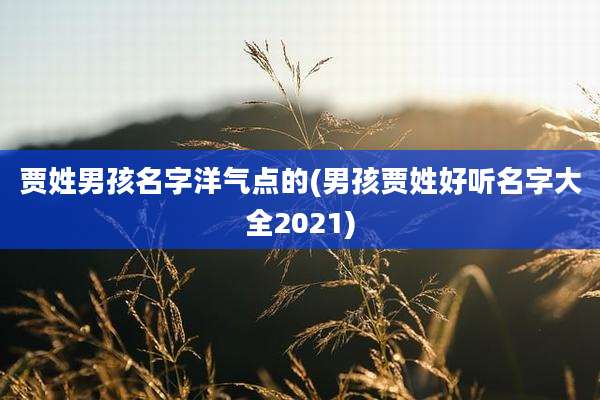 贾姓男孩名字洋气点的(男孩贾姓好听名字大全2021)