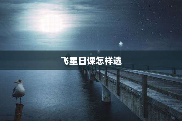 飞星日课怎样选