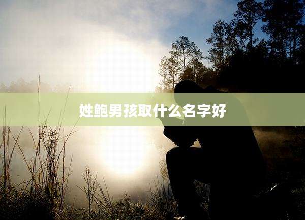 姓鲍男孩取什么名字好