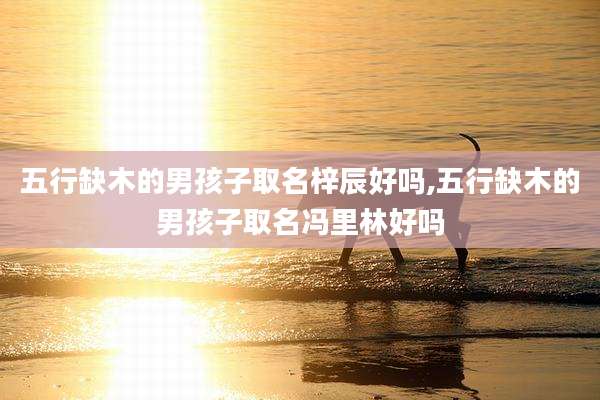 五行缺木的男孩子取名梓辰好吗,五行缺木的男孩子取名冯里林好吗