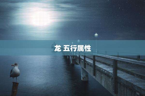 龙 五行属性
