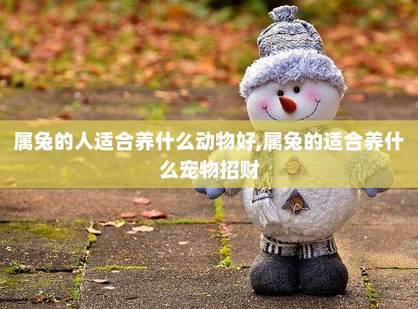 属兔的人适合养什么动物好,属兔的适合养什么宠物招财