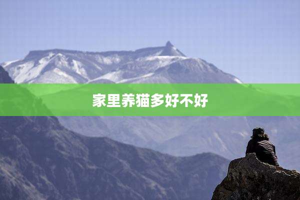家里养猫多好不好