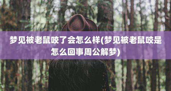 梦见被老鼠咬了会怎么样(梦见被老鼠咬是怎么回事周公解梦)