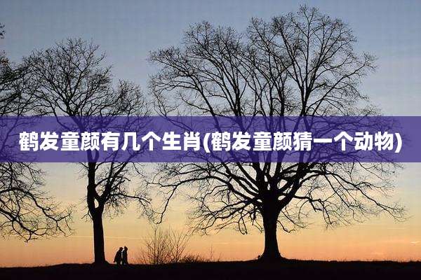 鹤发童颜有几个生肖(鹤发童颜猜一个动物)