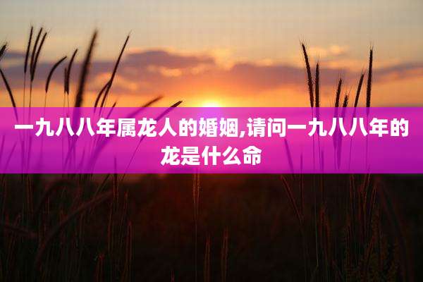 一九八八年属龙人的婚姻,请问一九八八年的龙是什么命