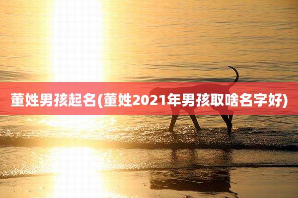 董姓男孩起名(董姓2021年男孩取啥名字好)