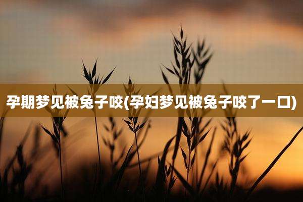 孕期梦见被兔子咬(孕妇梦见被兔子咬了一口)
