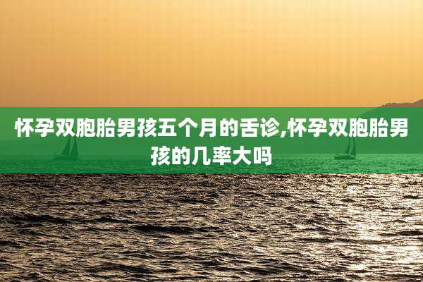怀孕双胞胎男孩五个月的舌诊,怀孕双胞胎男孩的几率大吗