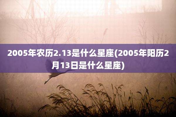 2005年农历2.13是什么星座(2005年阳历2月13日是什么星座)