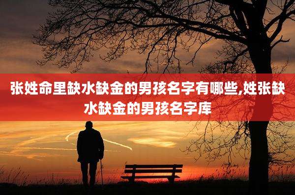 张姓命里缺水缺金的男孩名字有哪些,姓张缺水缺金的男孩名字库