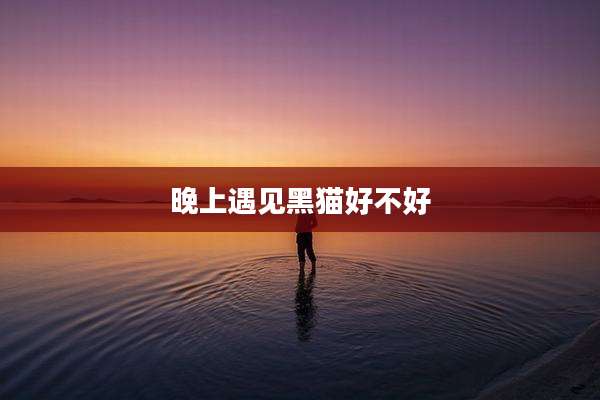 晚上遇见黑猫好不好