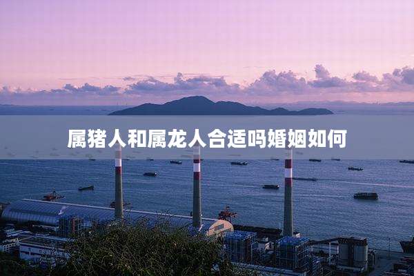 属猪人和属龙人合适吗婚姻如何