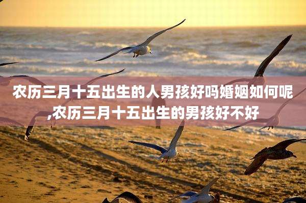 农历三月十五出生的人男孩好吗婚姻如何呢,农历三月十五出生的男孩好不好