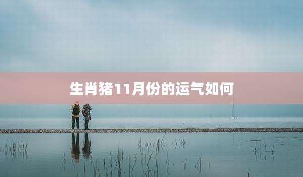 生肖猪11月份的运气如何