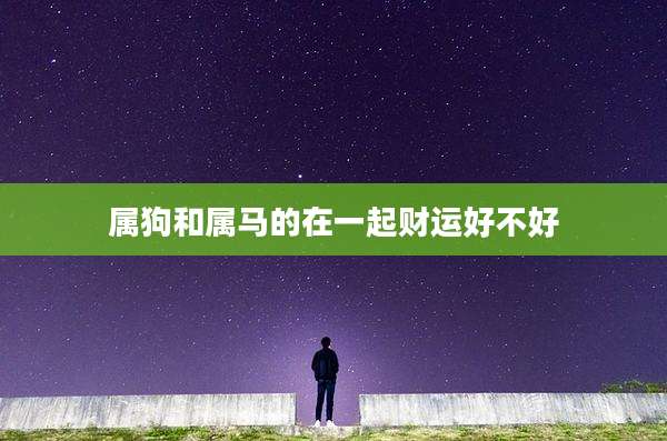 属狗和属马的在一起财运好不好