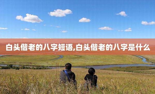 白头偕老的八字短语,白头偕老的八字是什么
