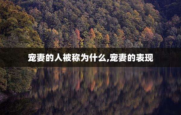 宠妻的人被称为什么,宠妻的表现