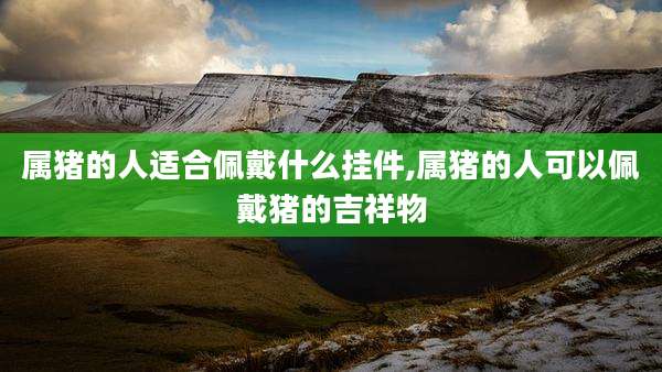 属猪的人适合佩戴什么挂件,属猪的人可以佩戴猪的吉祥物