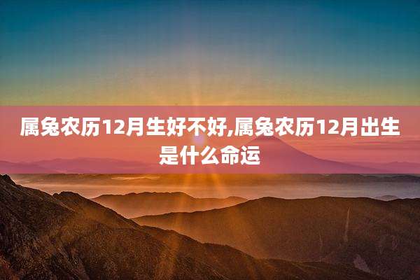 属兔农历12月生好不好,属兔农历12月出生是什么命运
