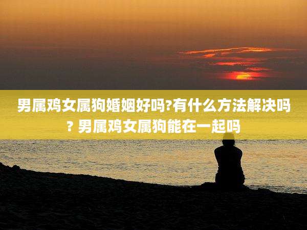 男属鸡女属狗婚姻好吗?有什么方法解决吗? 男属鸡女属狗能在一起吗