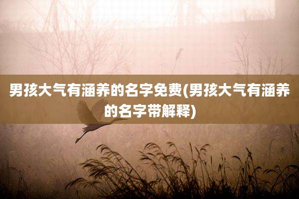 男孩大气有涵养的名字免费(男孩大气有涵养的名字带解释)
