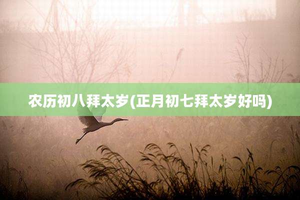 农历初八拜太岁(正月初七拜太岁好吗)