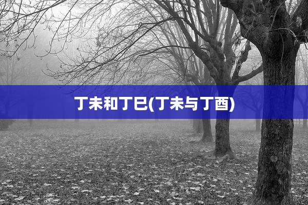 丁未和丁巳(丁未与丁酉)